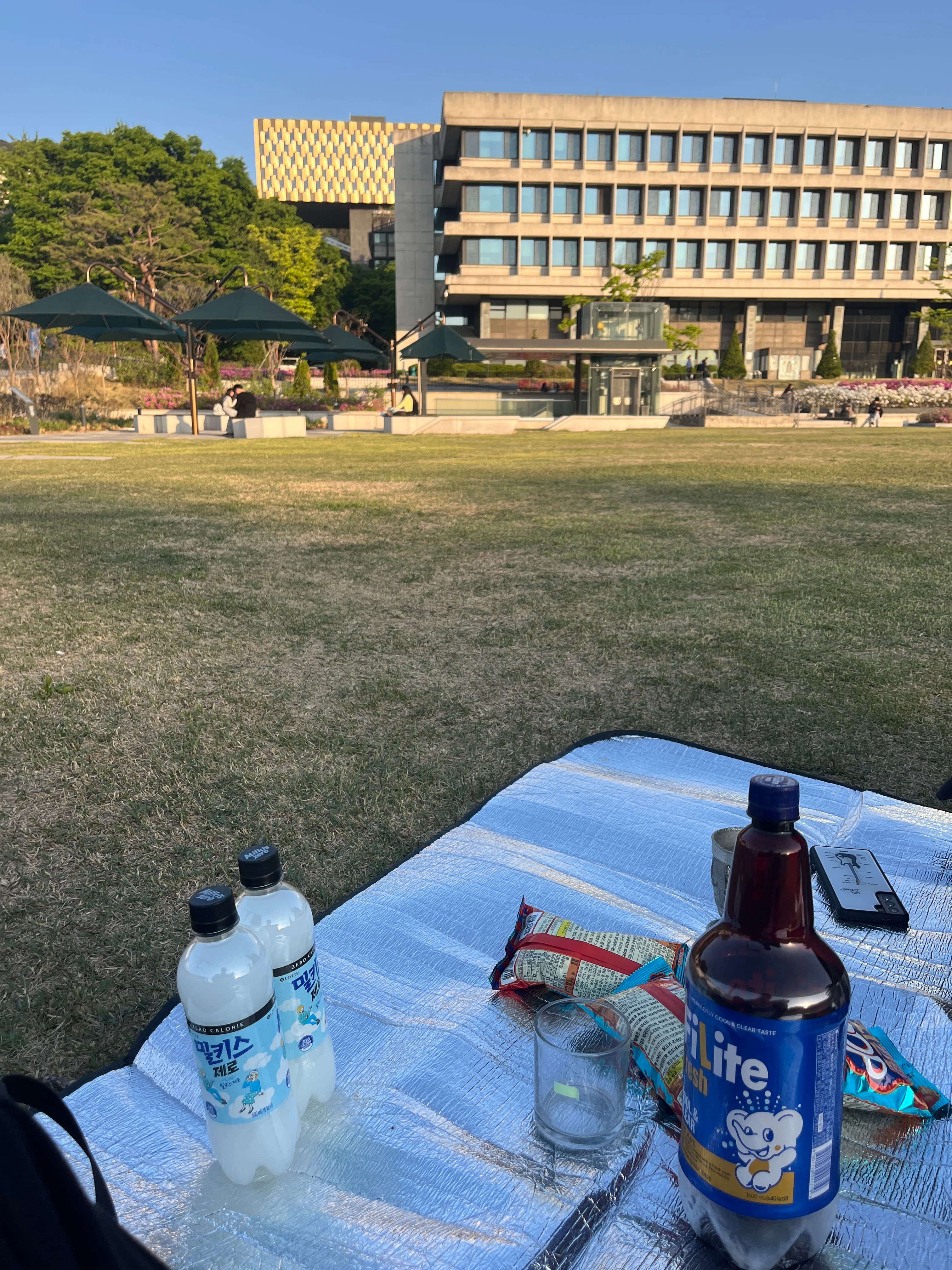 서울대 잔디밭